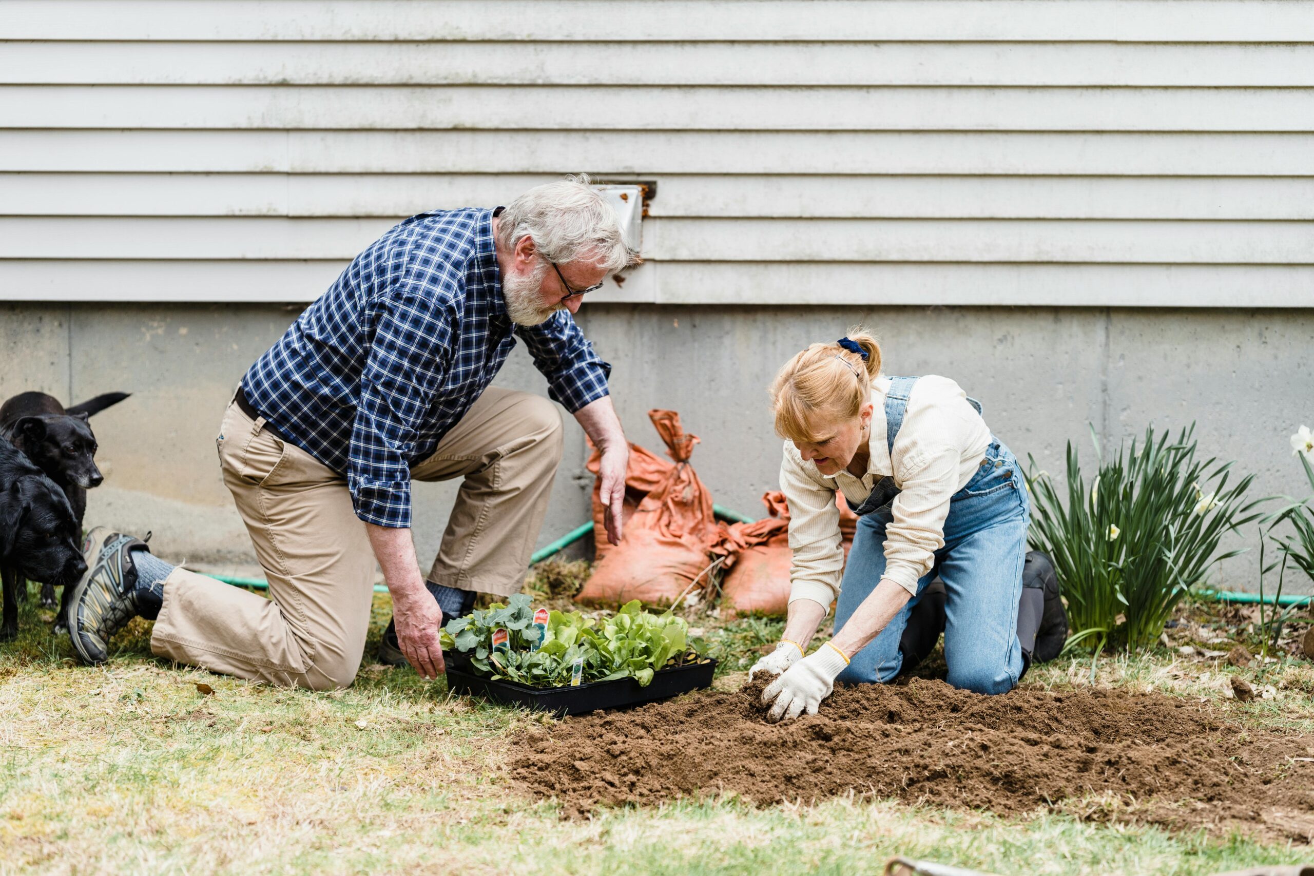 Aniverda Garten Starterpaket mit Pflanzenprodukten und Kompost