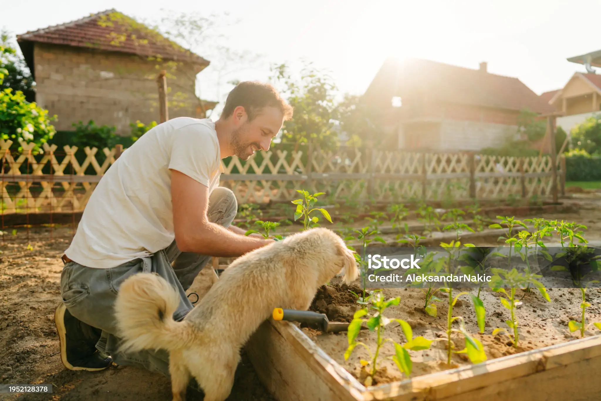 Aniverda natürliche Produktwelt für Tiere, Pflanzen und Zuhause