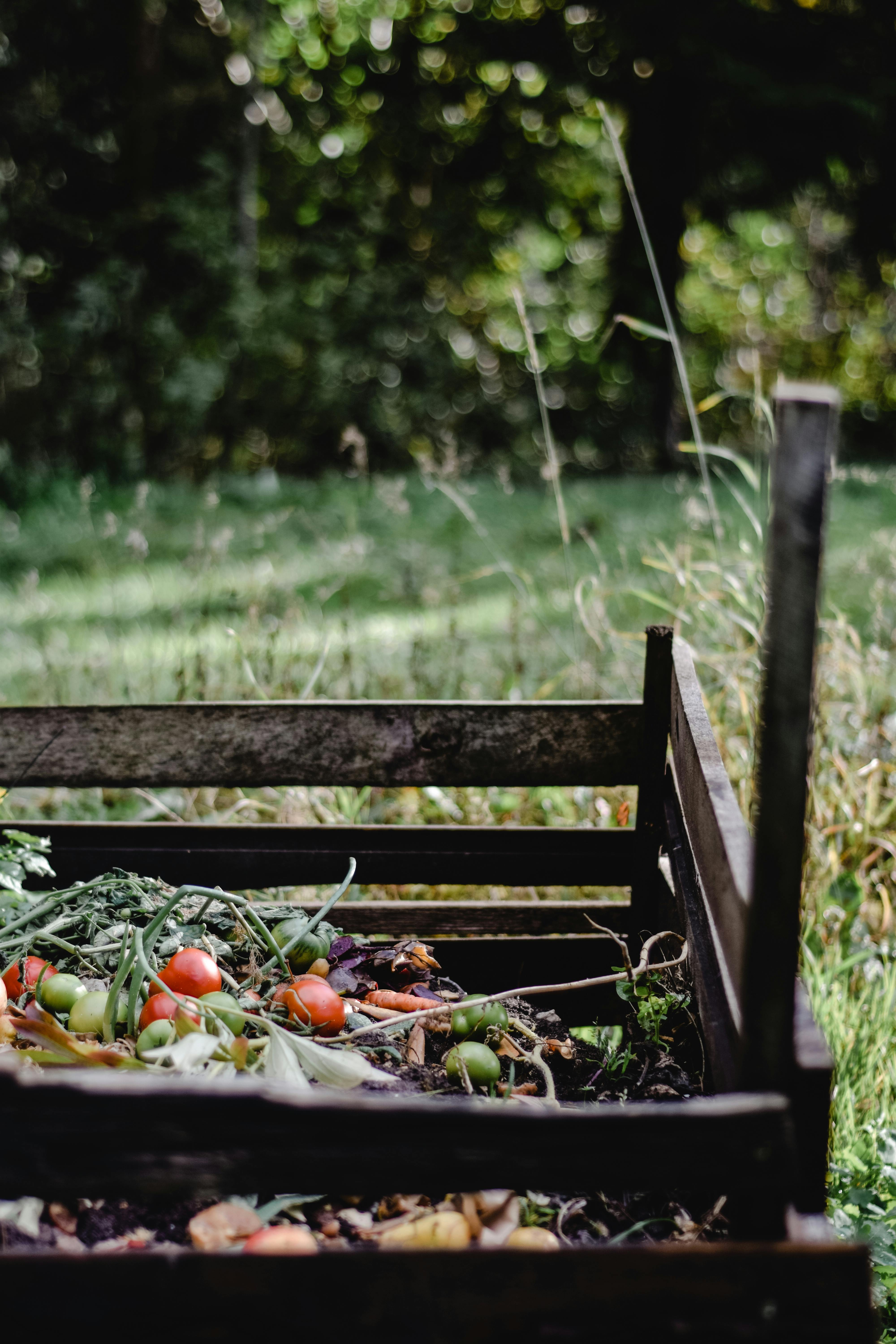 Kompost und Rasen als Aniverda Gartenwelt