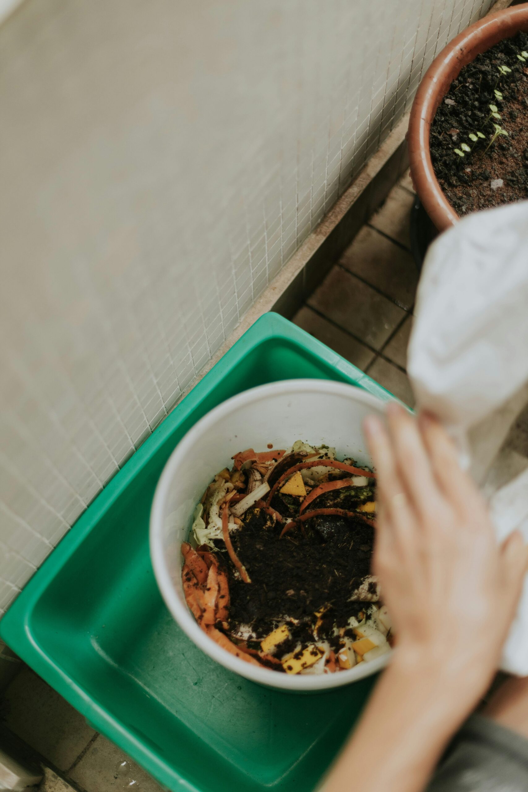 Lebendige Erde und Kompost im Garten
