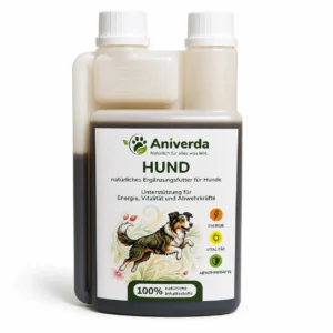 Hund