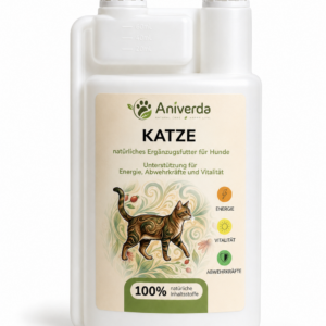 Katze