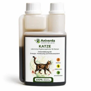Katze