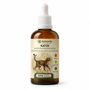 Katze