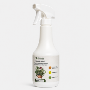 Flower Spray